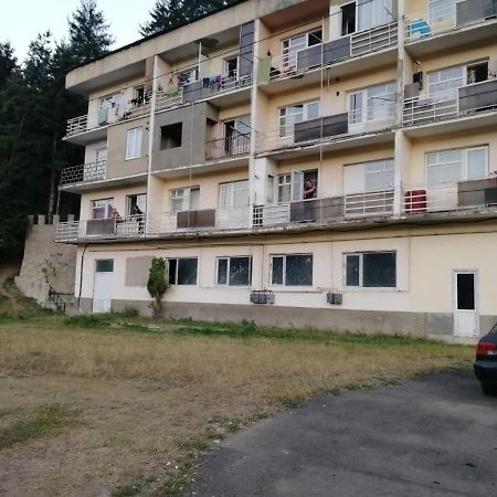 Apartmán Alena'S Flat Bordžomi Exteriér fotografie