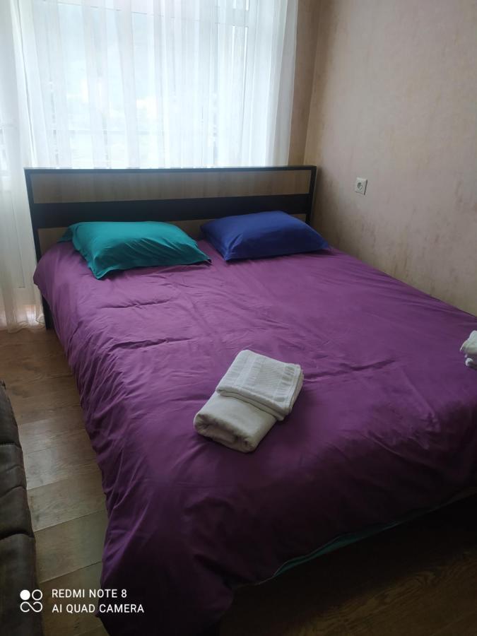 Apartmán Alena'S Flat Bordžomi Exteriér fotografie