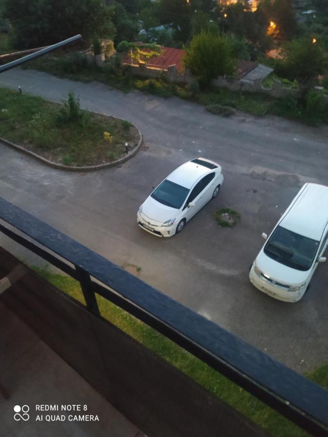 Apartmán Alena'S Flat Bordžomi Exteriér fotografie