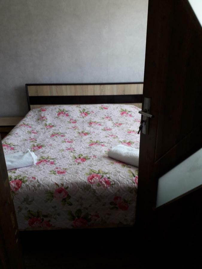 Apartmán Alena'S Flat Bordžomi Exteriér fotografie